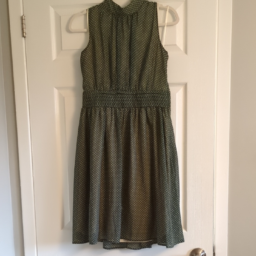 Vintage Style Polkadot Dress